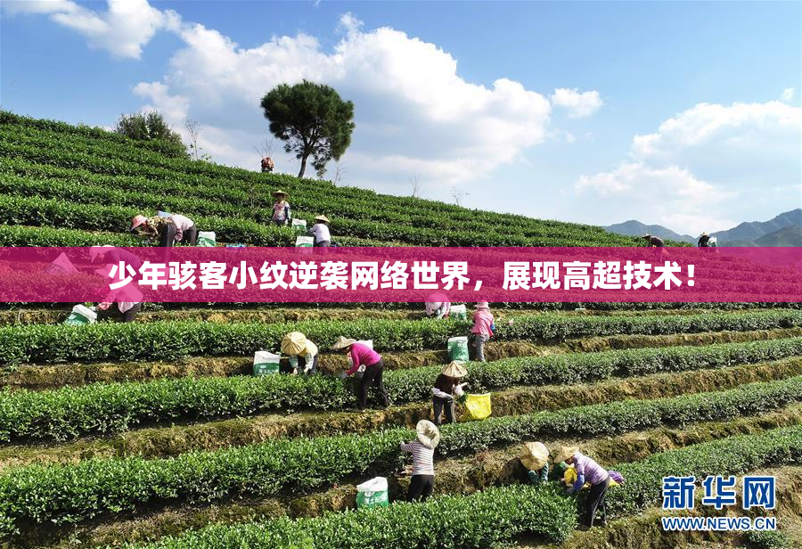 少年骇客小纹逆袭网络世界，展现高超技术！