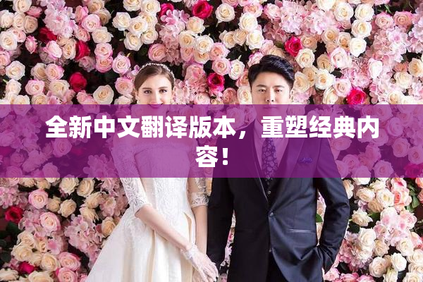 全新中文翻译版本，重塑经典内容！