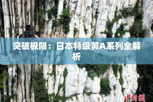 突破极限：日本特级黄A系列全解析