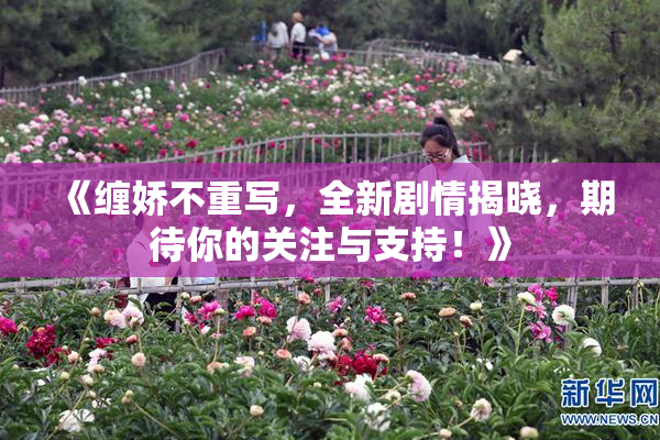 《缠娇不重写，全新剧情揭晓，期待你的关注与支持！》