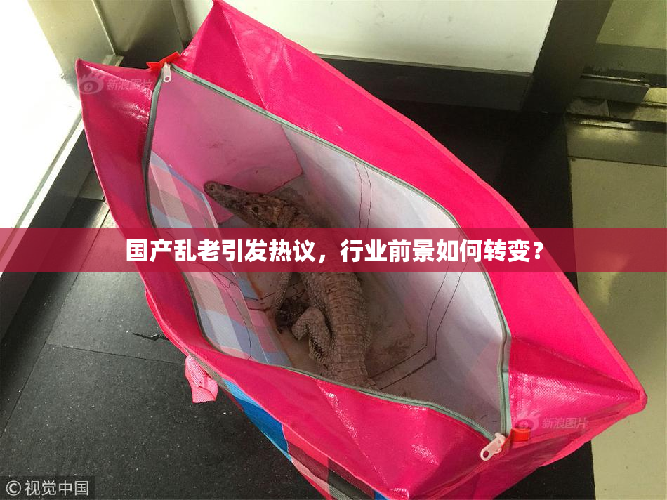 国产乱老引发热议，行业前景如何转变？