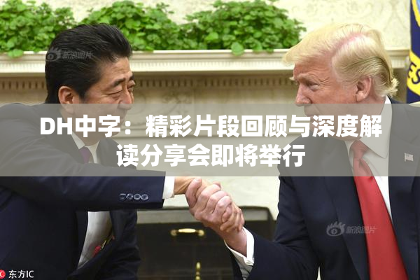 DH中字：精彩片段回顾与深度解读分享会即将举行