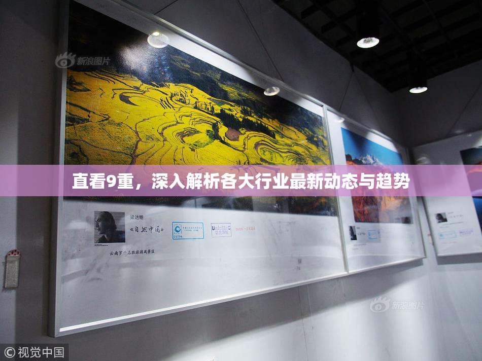 直看9重，深入解析各大行业最新动态与趋势