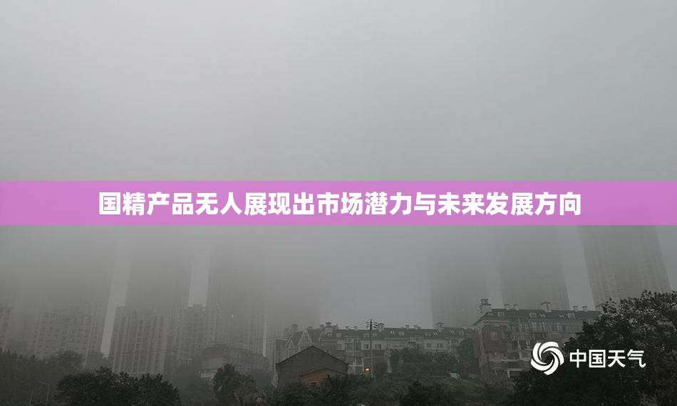 国精产品无人展现出市场潜力与未来发展方向