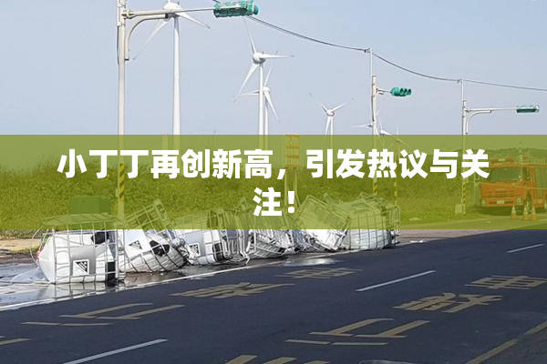 小丁丁再创新高，引发热议与关注！