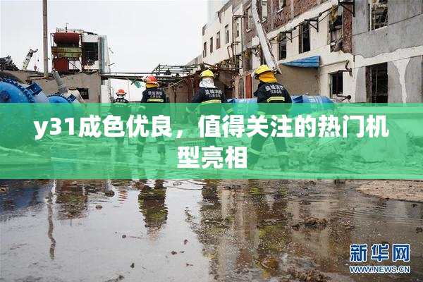 y31成色优良，值得关注的热门机型亮相
