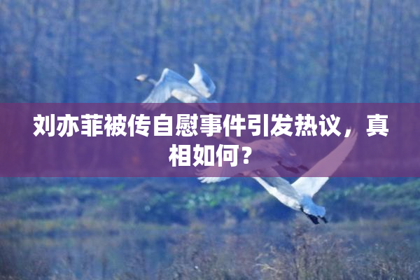 刘亦菲被传自慰事件引发热议，真相如何？