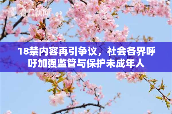 18禁内容再引争议，社会各界呼吁加强监管与保护未成年人