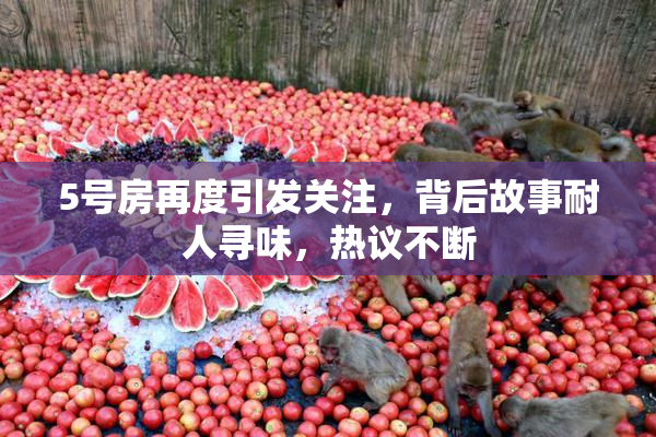 5号房再度引发关注，背后故事耐人寻味，热议不断