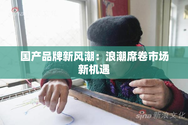 国产品牌新风潮：浪潮席卷市场新机遇