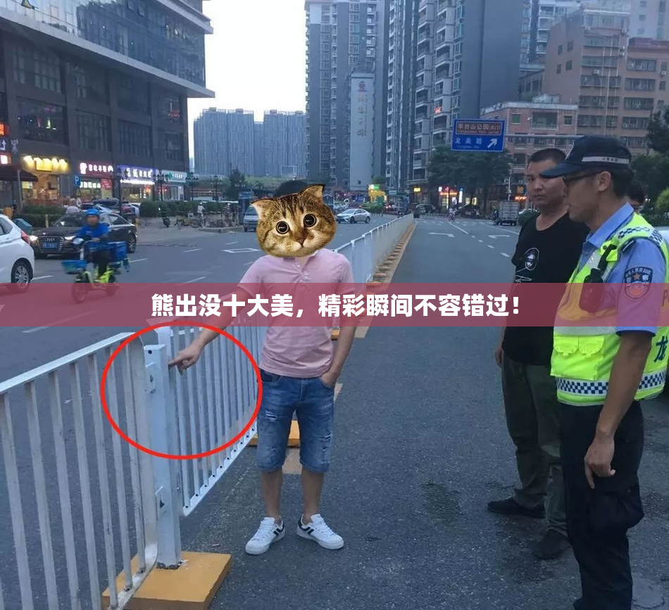 熊出没十大美，精彩瞬间不容错过！