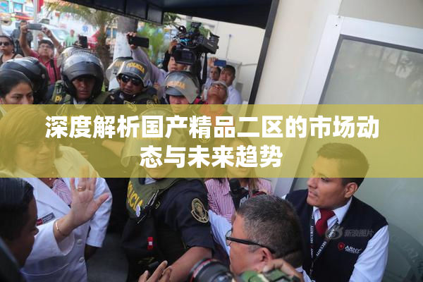 深度解析国产精品二区的市场动态与未来趋势