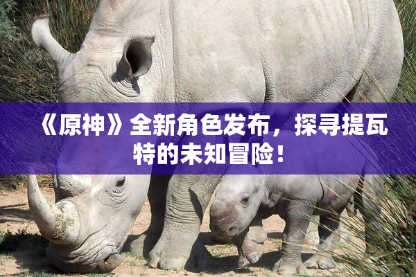 《原神》全新角色发布，探寻提瓦特的未知冒险！