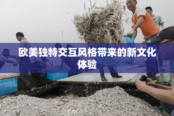 欧美独特交互风格带来的新文化体验