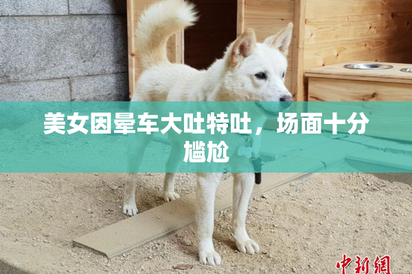 美女因晕车大吐特吐，场面十分尴尬