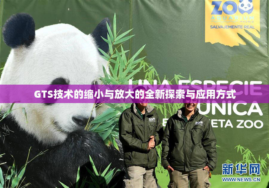 GTS技术的缩小与放大的全新探索与应用方式