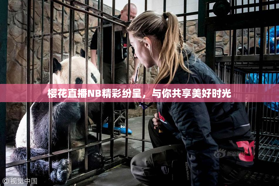 樱花直播NB精彩纷呈，与你共享美好时光