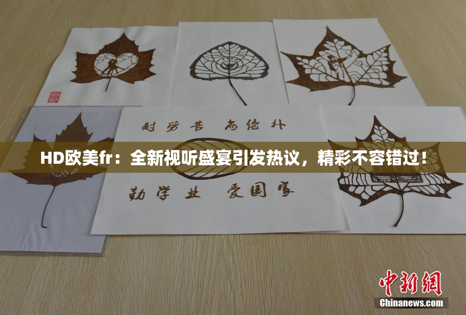 HD欧美fr：全新视听盛宴引发热议，精彩不容错过！