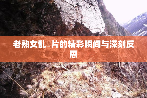 老熟女乱婬片的精彩瞬间与深刻反思