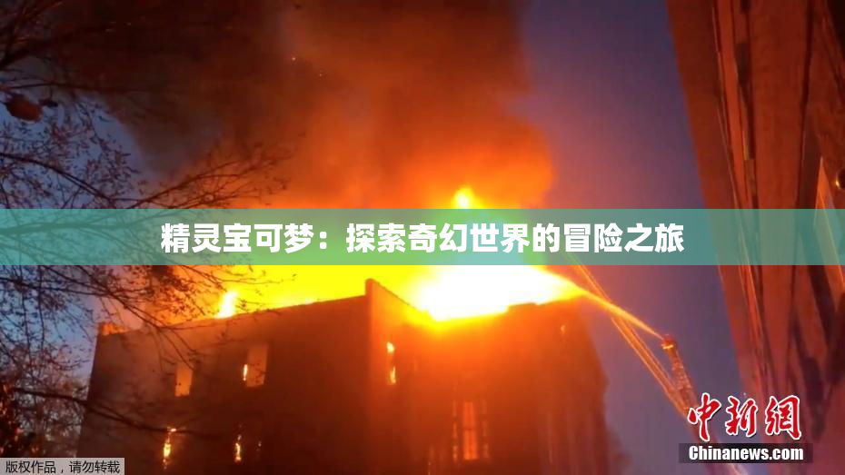 精灵宝可梦：探索奇幻世界的冒险之旅