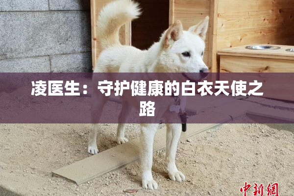 凌医生：守护健康的白衣天使之路