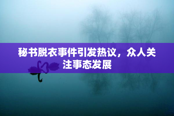 秘书脱衣事件引发热议，众人关注事态发展