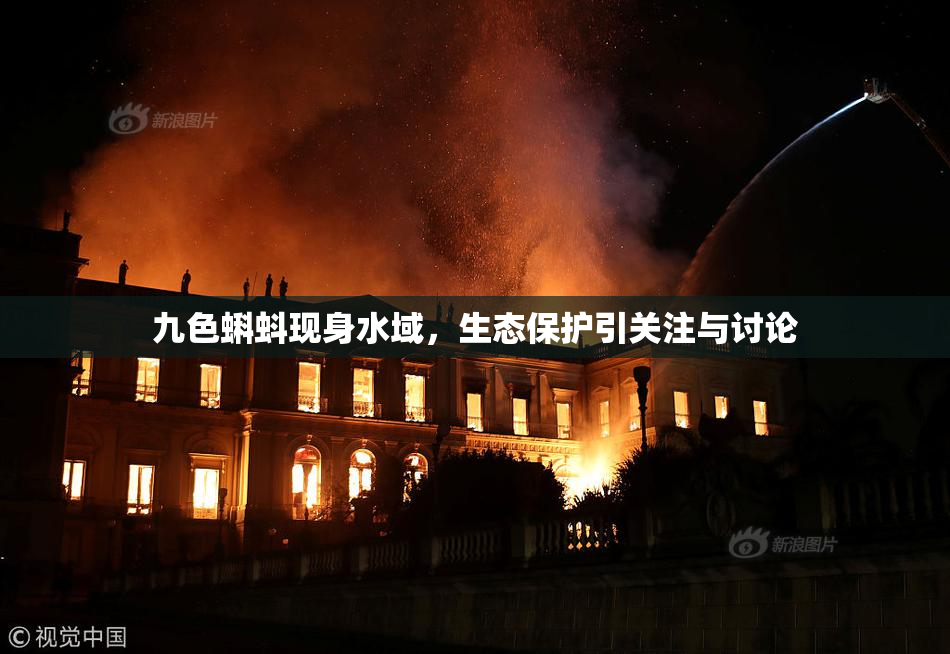 九色蝌蚪现身水域，生态保护引关注与讨论