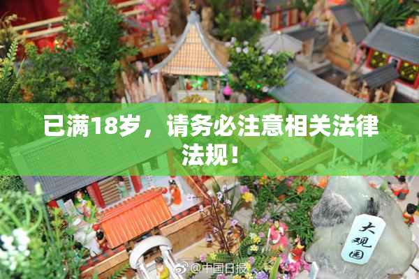 已满18岁，请务必注意相关法律法规！