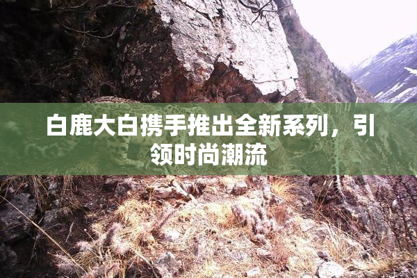 白鹿大白携手推出全新系列，引领时尚潮流
