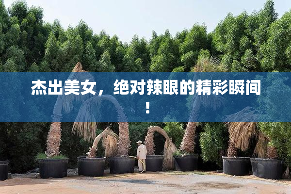 杰出美女，绝对辣眼的精彩瞬间！