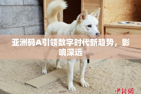 亚洲码A引领数字时代新趋势，影响深远