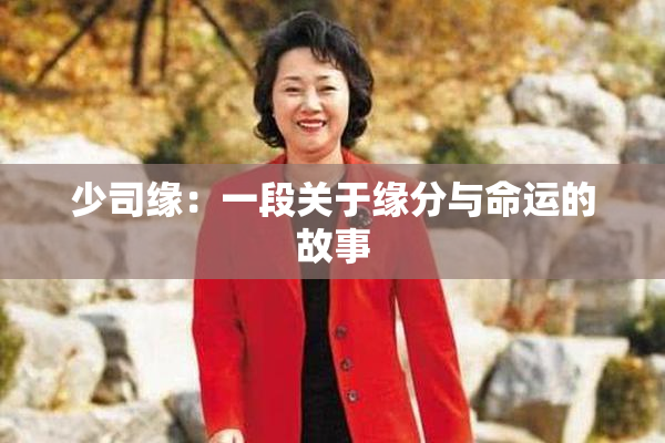 少司缘：一段关于缘分与命运的故事