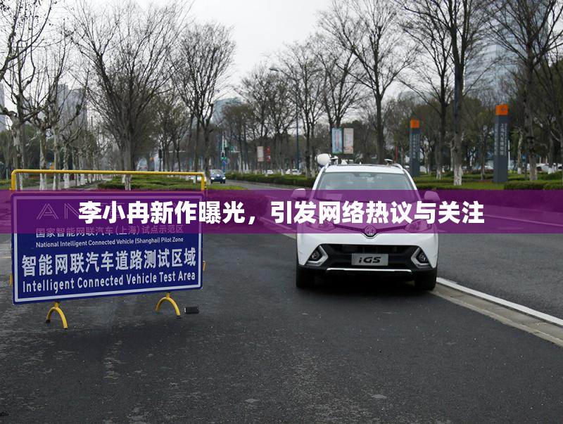 李小冉新作曝光，引发网络热议与关注