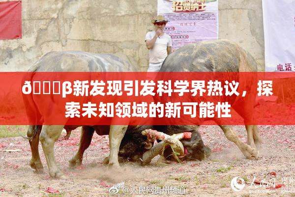 🔞β新发现引发科学界热议，探索未知领域的新可能性