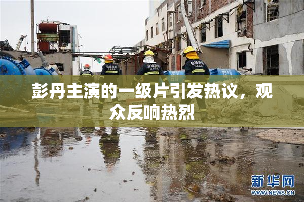 彭丹主演的一级片引发热议，观众反响热烈