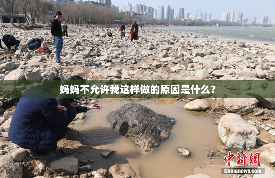 妈妈不允许我这样做的原因是什么？