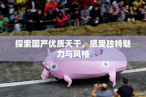 探索国产优质天干，感受独特魅力与风格