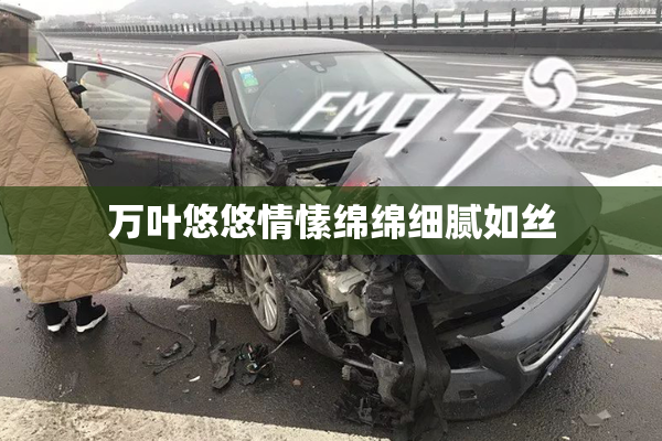 万叶悠悠情愫绵绵细腻如丝