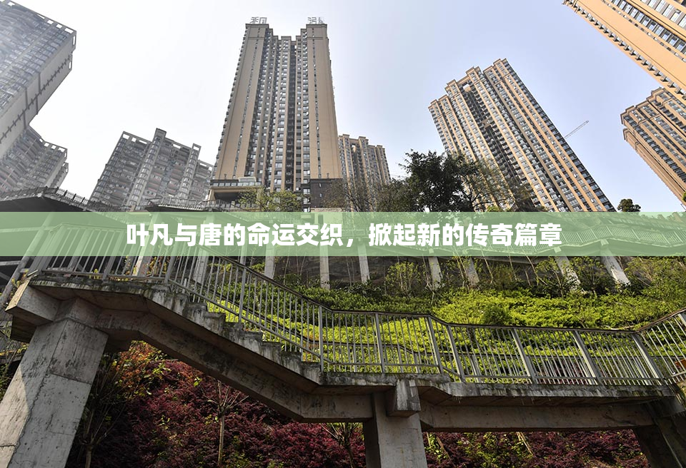 叶凡与唐的命运交织，掀起新的传奇篇章