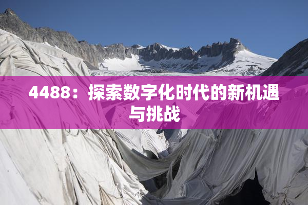 4488：探索数字化时代的新机遇与挑战