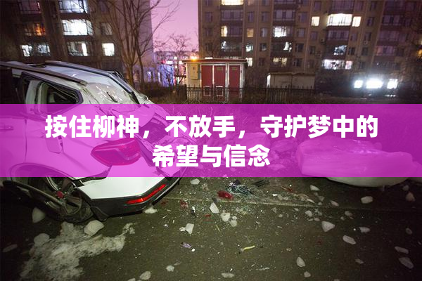 按住柳神，不放手，守护梦中的希望与信念