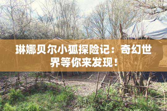 琳娜贝尔小狐探险记：奇幻世界等你来发现！