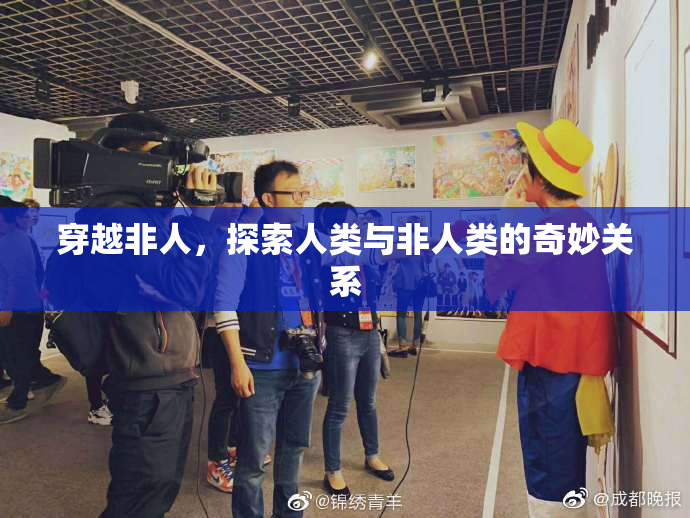 穿越非人，探索人类与非人类的奇妙关系