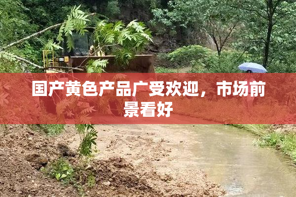国产黄色产品广受欢迎，市场前景看好