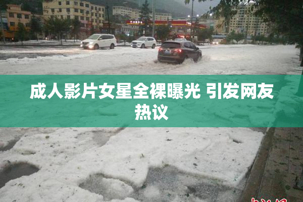 成人影片女星全裸曝光 引发网友热议