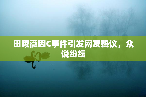 田曦薇因C事件引发网友热议，众说纷纭