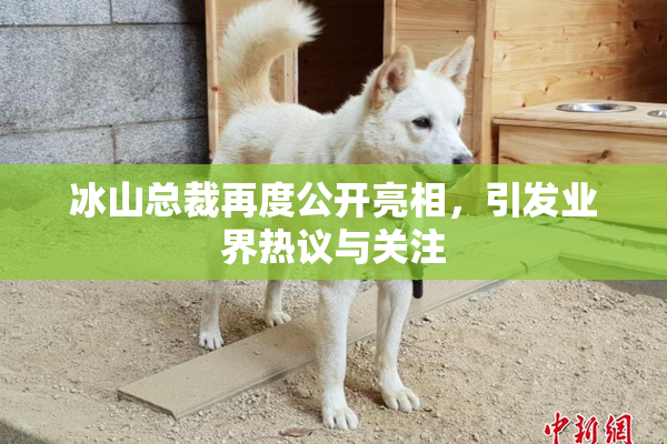 冰山总裁再度公开亮相，引发业界热议与关注