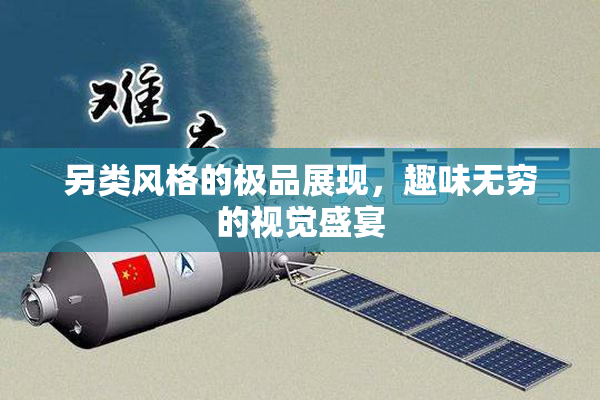另类风格的极品展现，趣味无穷的视觉盛宴