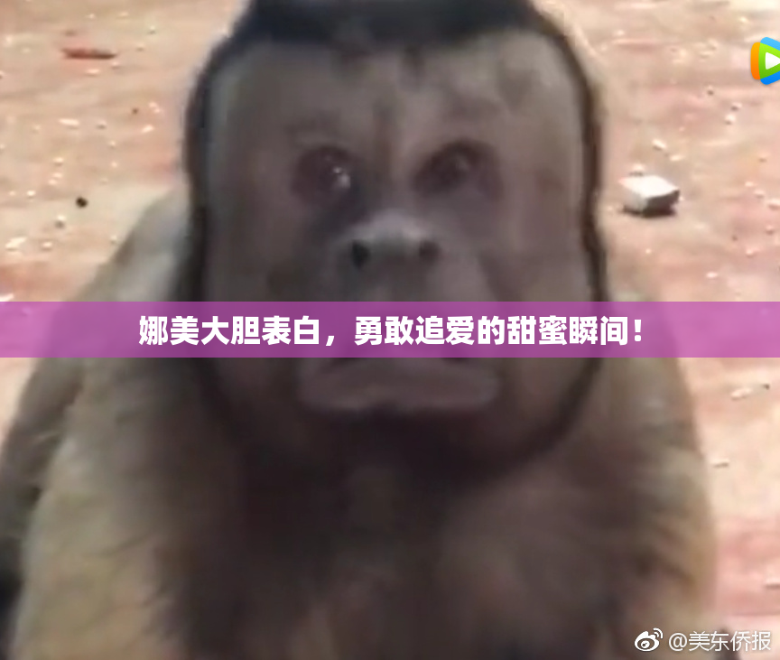 娜美大胆表白，勇敢追爱的甜蜜瞬间！