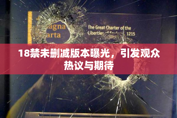 18禁未删减版本曝光，引发观众热议与期待